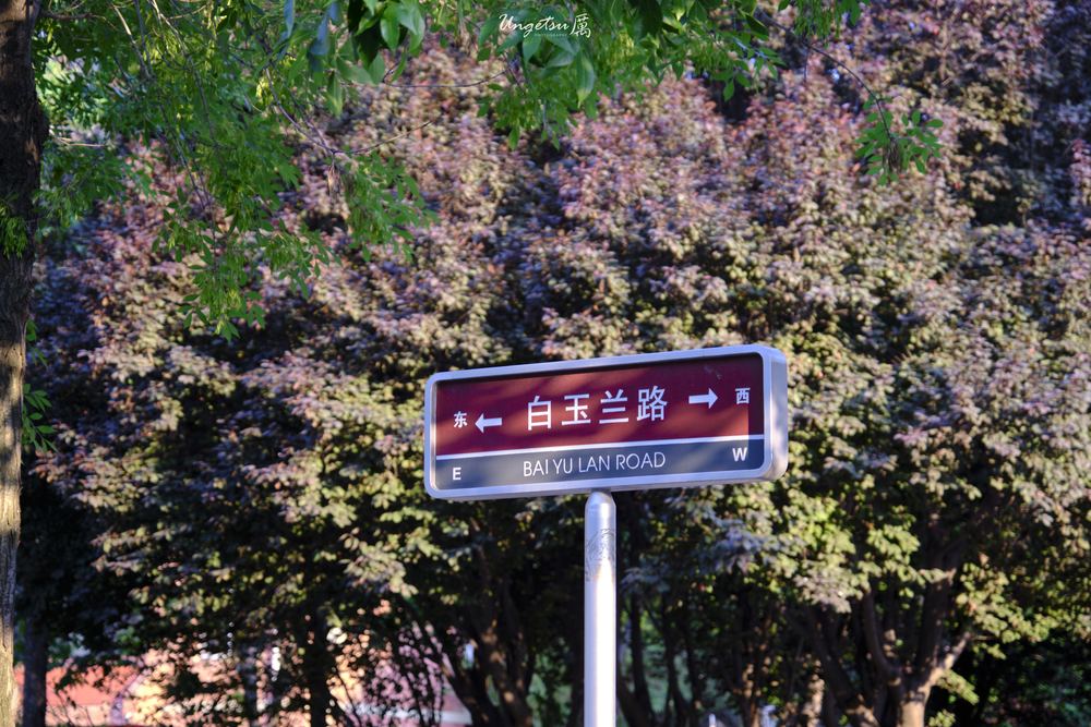 学士之夏 10