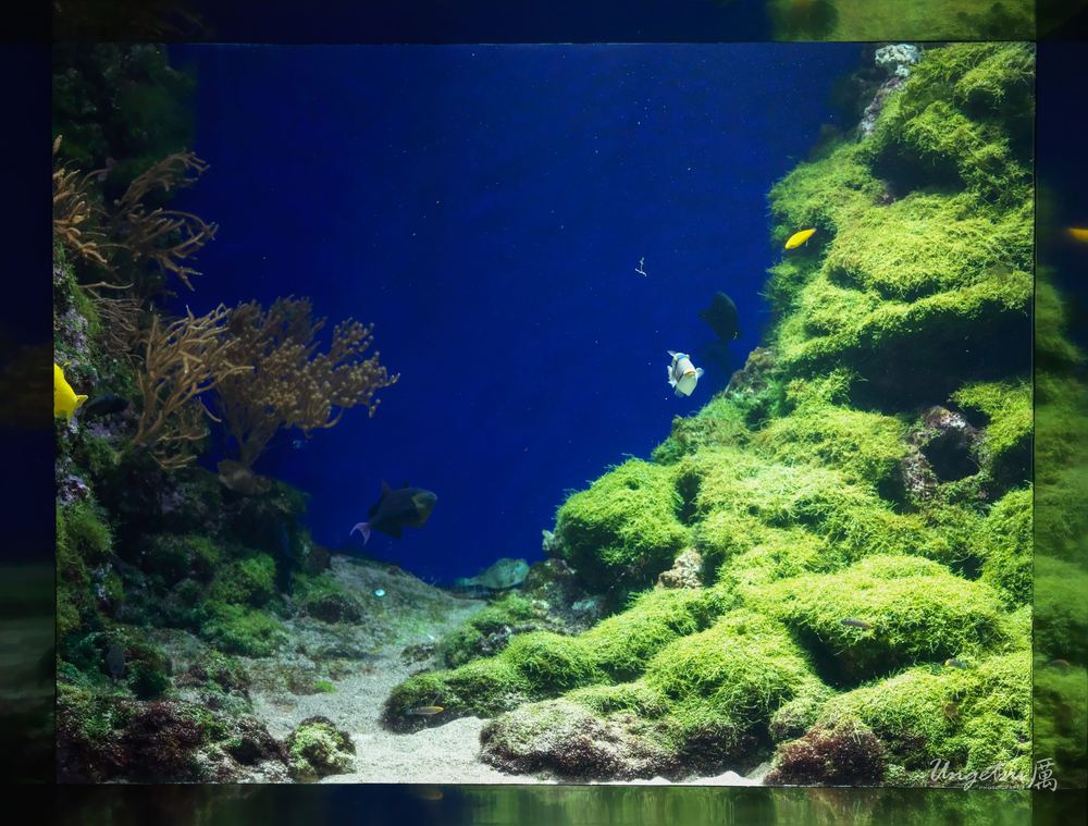 相机漂流 · 东八区 2024.03.19