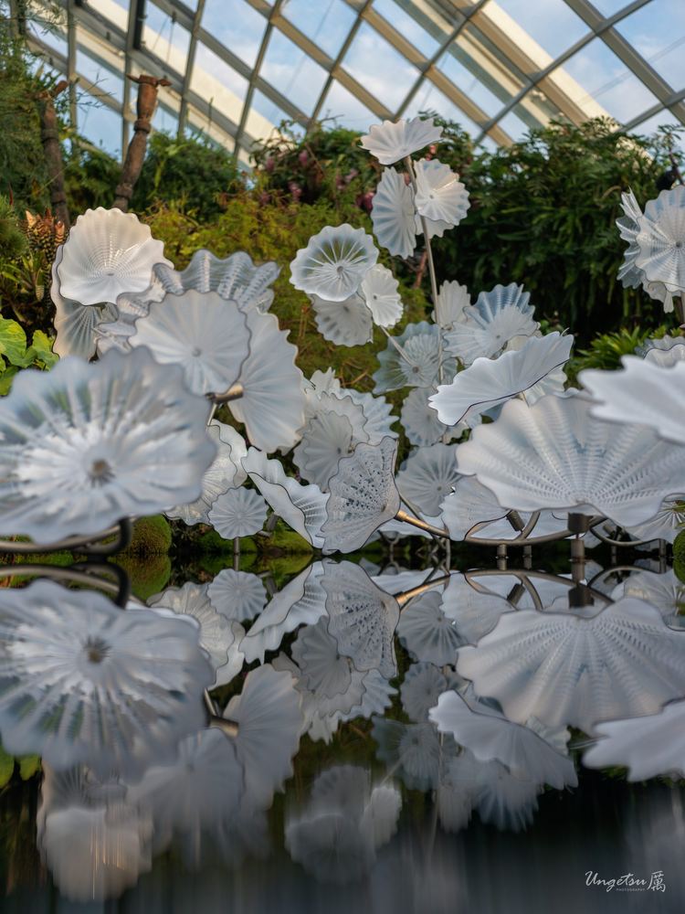 花穹